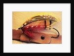 Atlantic Salmon Fly on Hat Brim, British Columbia, Canada. by Anonymous