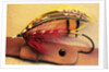 Atlantic Salmon Fly on Hat Brim, British Columbia, Canada. by Anonymous