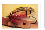 Atlantic Salmon Fly on Hat Brim, British Columbia, Canada. by Anonymous
