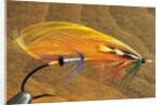 Atlantic Salmon Fly in Flytying Vise, Canada. by Anonymous