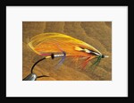 Atlantic Salmon Fly in Flytying Vise, Canada. by Anonymous
