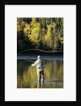 Flyfisherman and Fall Reflections, Bulkley River,Smithers, British Columbia, Canada. by Anonymous