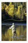 Flyfisherman and Fall Reflections, Bulkley River,Smithers, British Columbia, Canada. by Anonymous