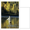 Flyfisherman and Fall Reflections, Bulkley River,Smithers, British Columbia, Canada. by Anonymous