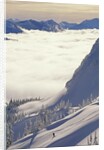 Skier Skiing Fresh Deep Powder in Backcountry Near Fernie, East Kootenays, British Columbia, Canada. by Anonymous