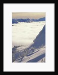 Skier Skiing Fresh Deep Powder in Backcountry Near Fernie, East Kootenays, British Columbia, Canada. by Anonymous