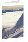 Skier Skiing Fresh Deep Powder in Backcountry Near Fernie, East Kootenays, British Columbia, Canada. by Anonymous