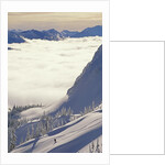 Skier Skiing Fresh Deep Powder in Backcountry Near Fernie, East Kootenays, British Columbia, Canada. by Anonymous