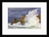 Big waves breaking on Cape Kiwanda, Oregon Coast by Anonymous