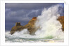 Big waves breaking on Cape Kiwanda, Oregon Coast by Anonymous