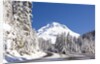 Snow covered road, Mount Hood, Oregon Cascades by Anonymous