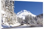 Snow covered road, Mount Hood, Oregon Cascades by Anonymous