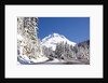 Snow covered road, Mount Hood, Oregon Cascades by Anonymous