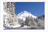 Snow covered road, Mount Hood, Oregon Cascades by Anonymous