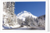 Snow covered road, Mount Hood, Oregon Cascades by Anonymous