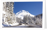 Snow covered road, Mount Hood, Oregon Cascades by Anonymous