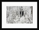 North Falls surrounded by snow-covered trees by Anonymous