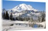 First winter snow at Mount Rainier and Tipsoo Lake, Mount Rainier National Park, Washington State by Anonymous