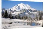 First winter snow at Mount Rainier and Tipsoo Lake, Mount Rainier National Park, Washington State by Anonymous