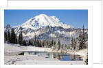 First winter snow at Mount Rainier and Tipsoo Lake, Mount Rainier National Park, Washington State by Anonymous