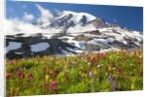 Field of wildflowers and Mount Rainier by Anonymous