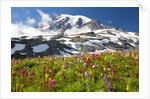 Field of wildflowers and Mount Rainier by Anonymous