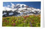 Field of wildflowers and Mount Rainier by Anonymous