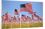 American Flags, Oregon by Anonymous