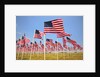 American Flags, Oregon by Anonymous