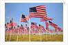 American Flags, Oregon by Anonymous