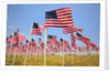 American Flags, Oregon by Anonymous