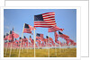 American Flags, Oregon by Anonymous