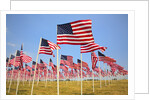 American Flags, Oregon by Anonymous