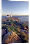 Trial Island Lighthouse with the Strait of Juan De Fuca in Background, Victoria, British Columbia, Canada. by Anonymous