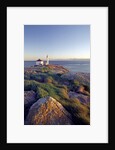 Trial Island Lighthouse with the Strait of Juan De Fuca in Background, Victoria, British Columbia, Canada. by Anonymous