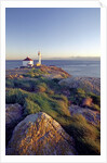 Trial Island Lighthouse with the Strait of Juan De Fuca in Background, Victoria, British Columbia, Canada. by Anonymous