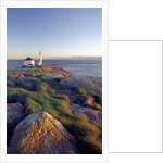 Trial Island Lighthouse with the Strait of Juan De Fuca in Background, Victoria, British Columbia, Canada. by Anonymous