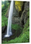 USA, Oregon, Columbia River Gorge Area, Scenic Waterfalls, Latourelle Falls by Anonymous