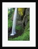USA, Oregon, Columbia River Gorge Area, Scenic Waterfalls, Latourelle Falls by Anonymous