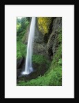 USA, Oregon, Columbia River Gorge Area, Scenic Waterfalls, Latourelle Falls by Anonymous