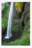 USA, Oregon, Columbia River Gorge Area, Scenic Waterfalls, Latourelle Falls by Anonymous