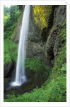 USA, Oregon, Columbia River Gorge Area, Scenic Waterfalls, Latourelle Falls by Anonymous