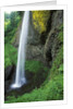 USA, Oregon, Columbia River Gorge Area, Scenic Waterfalls, Latourelle Falls by Anonymous