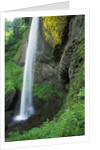 USA, Oregon, Columbia River Gorge Area, Scenic Waterfalls, Latourelle Falls by Anonymous
