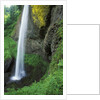 USA, Oregon, Columbia River Gorge Area, Scenic Waterfalls, Latourelle Falls by Anonymous
