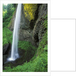 USA, Oregon, Columbia River Gorge Area, Scenic Waterfalls, Latourelle Falls by Anonymous