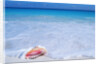 Mexico, Yucatan Peninsula, Carribean Beach at Cancun, Conch Shell on Sand by Anonymous