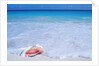 Mexico, Yucatan Peninsula, Carribean Beach at Cancun, Conch Shell on Sand by Corbis