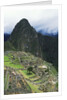 Machu Picchu Unesco World Heritage Site, Urubamba Valley, Peru by Anonymous