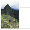 Machu Picchu Unesco World Heritage Site, Urubamba Valley, Peru by Anonymous